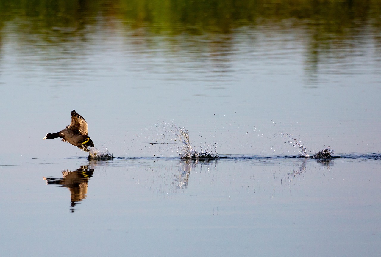 法人格安SIMのIoT向けプラン比較で最適な選択肢は？