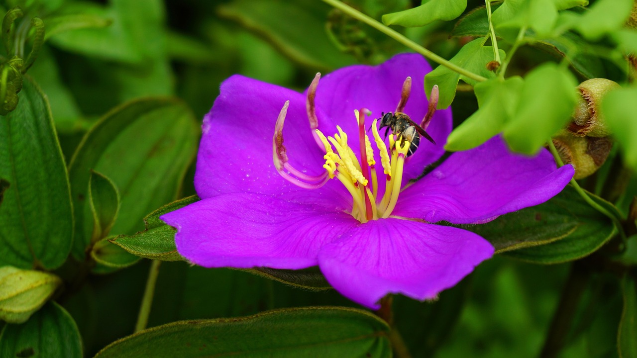 法人用SIMの比較で最適なデータプラン選びは？