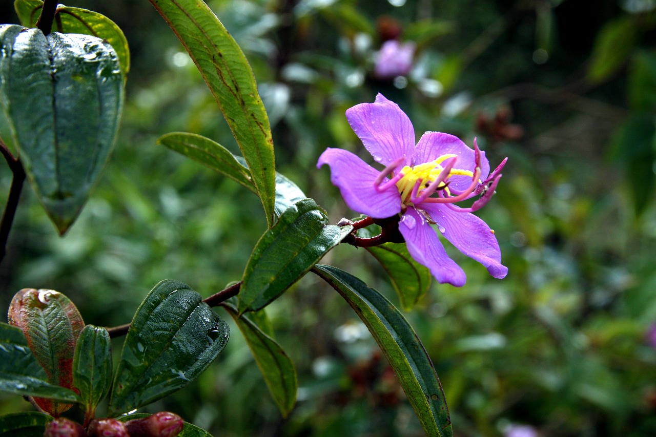 法人向けSIMの比較で知る法人利用のメリットとは？