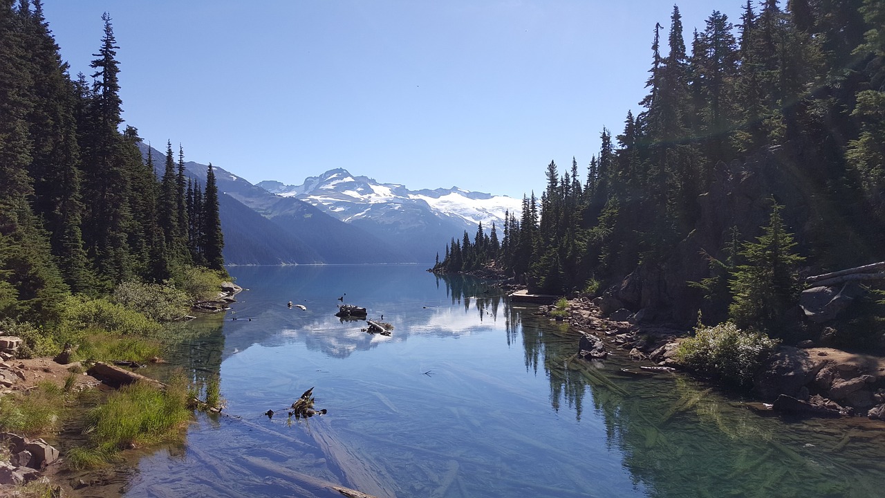 法人向け格安SIMの料金比較はどこでできる？